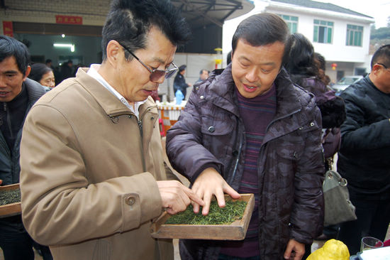 全省精英齐聚纳溪&nbsp;共同把脉川茶产业发展(图8)