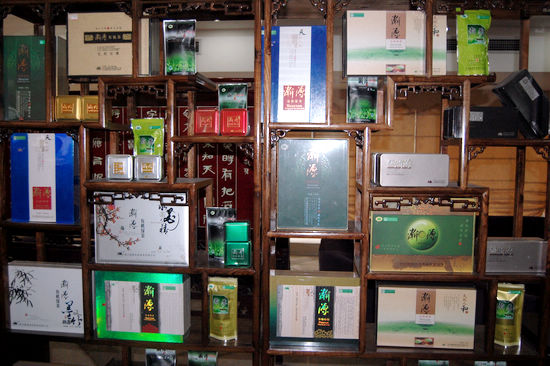 全省精英齐聚纳溪&nbsp;共同把脉川茶产业发展(图13)
