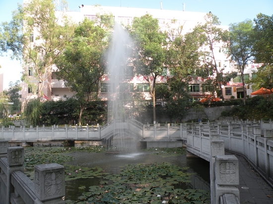 盘点2011，泸县一中辉煌继续(图1)