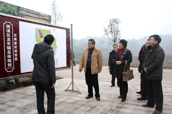 纳溪区政协主席贺维到龙车镇调研指导工作(图3)