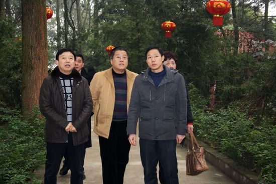 纳溪区政协主席贺维到龙车镇调研指导工作(图2)