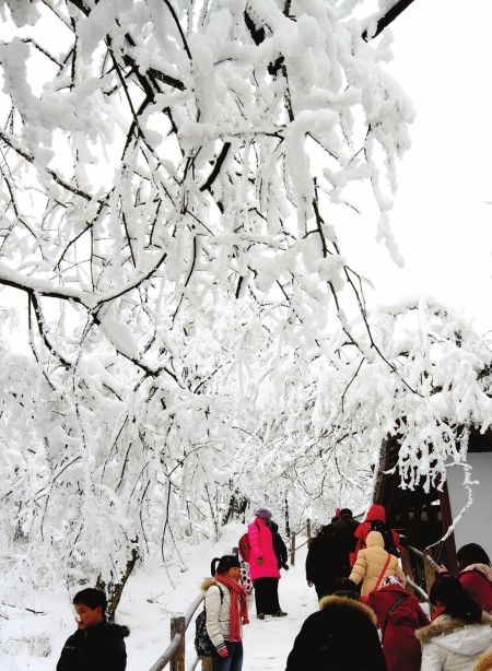春节哪里耍&nbsp;不用抠脑壳(图1)