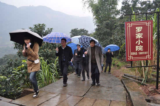 纳溪天仙镇&nbsp;新农村建设示范片呈现五大特色(图1)