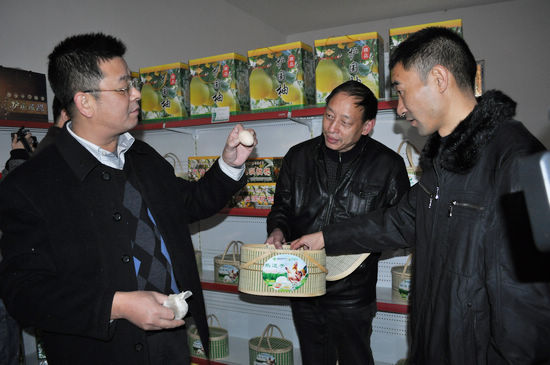 纳溪天仙镇&nbsp;新农村建设示范片呈现五大特色(图3)