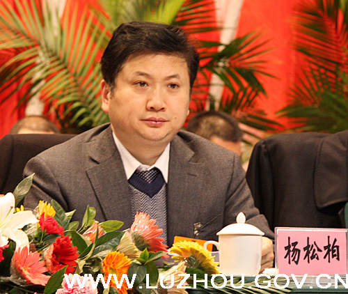政协泸州市七届一次会议举行第二次大会(图2)