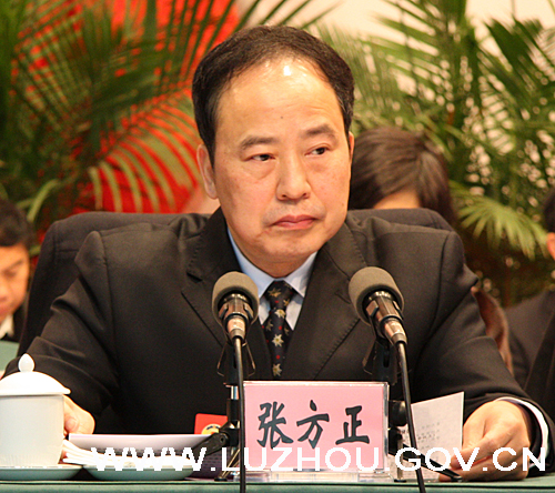 政协泸州市七届一次会议举行第二次大会(图4)