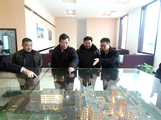 方洞镇：县委书记把脉方洞“十二五”(图1)