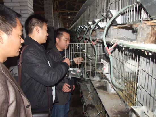 泸州&nbsp;叙永落卜镇大学生村官"吃螃蟹"开起了养殖场(图1)