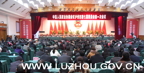 陈雁当选泸州市人大常委会主任&nbsp;刘强当选市长(图1)