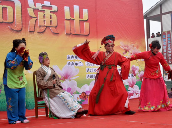 龙马潭区“三下乡”集中活动走进双加镇(图4)