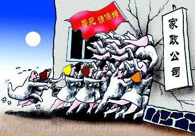 年关将近&nbsp;泸州家政行业走俏(图1)