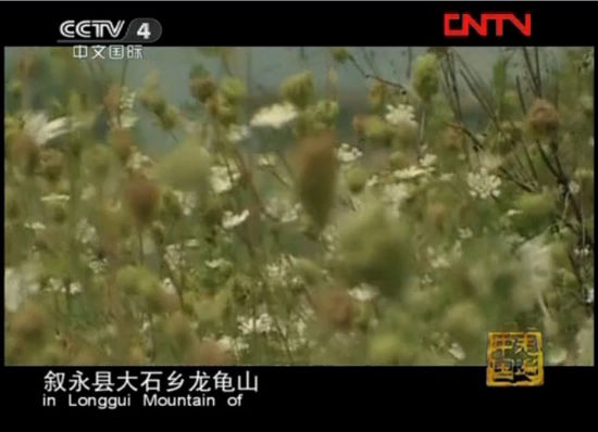 展示历史文化瑰宝&nbsp;泸州大石明清石刻走进央视(图2)