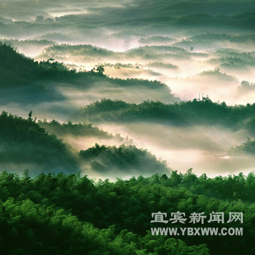 2011年宜宾实现旅游总收入130亿元(图1) 2011年宜宾实现旅游总收入130亿元(图1)