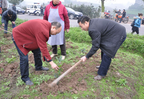 大山坪街道：春节后上班首日挥锄添绿(图1)