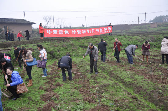 大山坪街道：春节后上班首日挥锄添绿(图2)