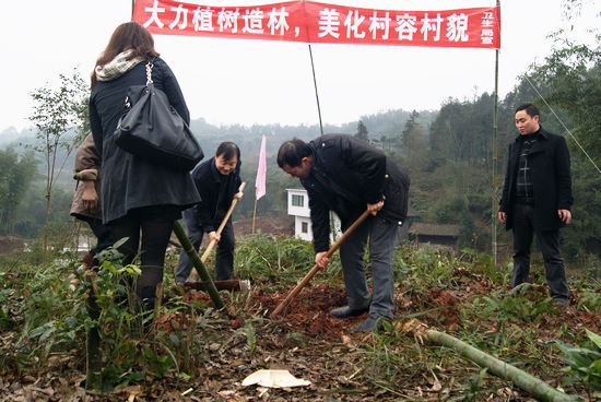 大石乡：别样年味植树匆&nbsp;百余干群种竹忙(图2)