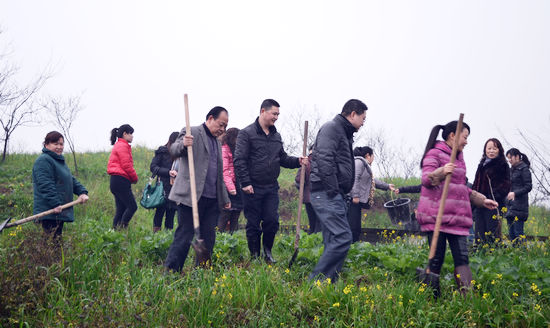 华阳街道：节后首日全民义务植树为新春添绿(图1)