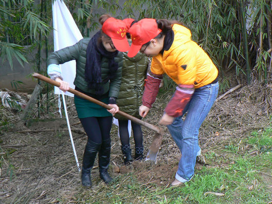 牛滩镇：义务植树贺新春&nbsp;绿化家园促发展(图1)
