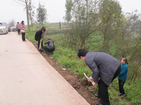 奇峰镇：开班植树&nbsp;新春添绿(图1)