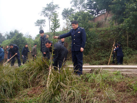 兆雅镇：开班植树种希望(图2)