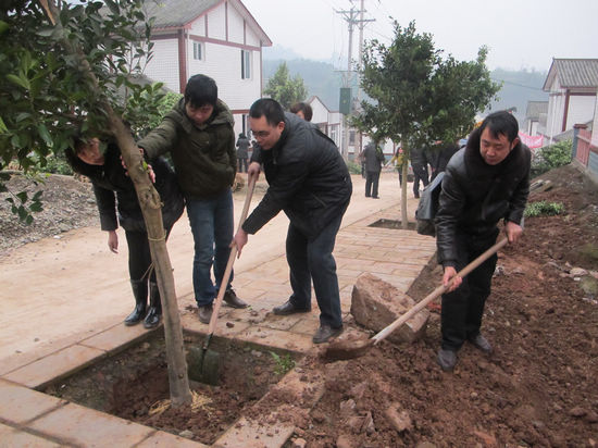 节后义务植树&nbsp;再掀泰安植树热潮(图2)