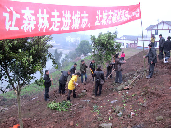 节后义务植树&nbsp;再掀泰安植树热潮(图1)