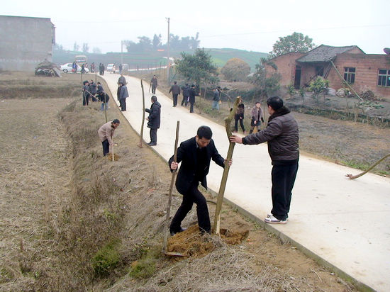 2012年上班第一天&nbsp;通滩镇开展植树拜年活动(图2)