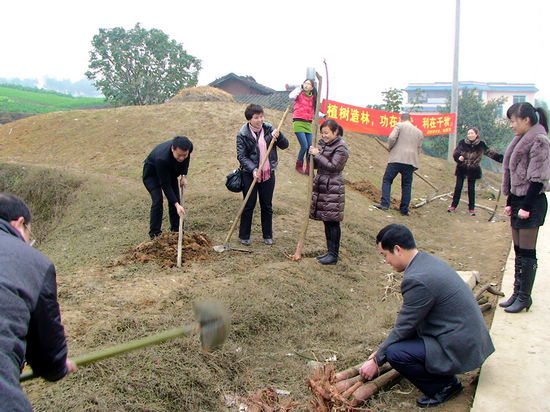 2012年上班第一天&nbsp;通滩镇开展植树拜年活动(图1)