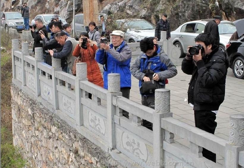 泸州：春节旅游收入逾2亿&nbsp;近郊短程游受欢迎(图2)