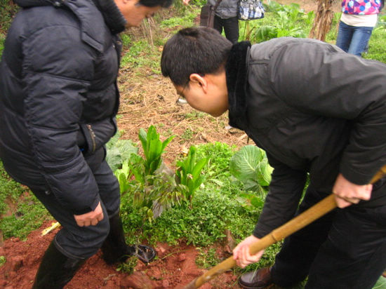 蓝田街道：干群齐行动&nbsp;山坡再添绿(图2)