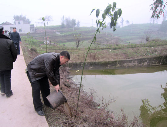 方洞镇：义务植树贺新春(图1)