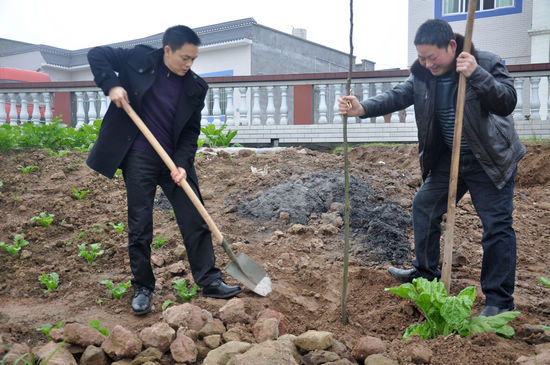 云锦镇：开展新春植树活动(图1)