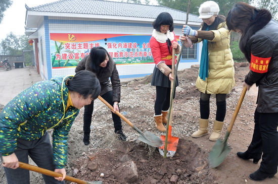 云锦镇：开展新春植树活动(图2)