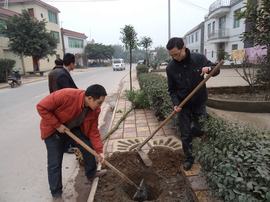 太伏镇：创新义务植树方式&nbsp;让绿色扮靓生活(图1)