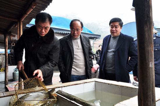 泸州打响春季禁渔第一枪&nbsp;禁渔首日餐馆查出胭脂鱼(图2)