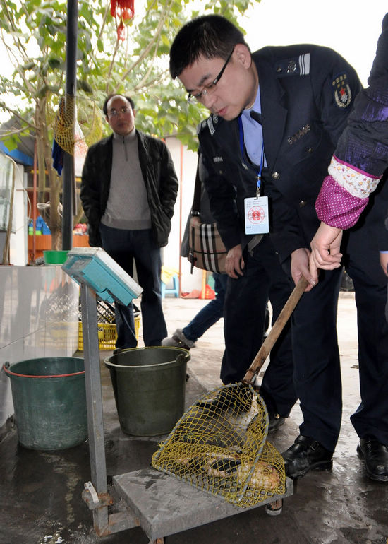 泸州打响春季禁渔第一枪&nbsp;禁渔首日餐馆查出胭脂鱼(图4)