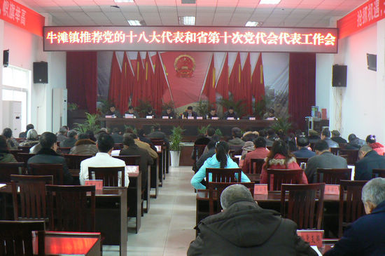 牛滩镇:选好选优 做好代表选举工作(图1) 牛滩镇:选好选优 做好代表选举工作(图1)