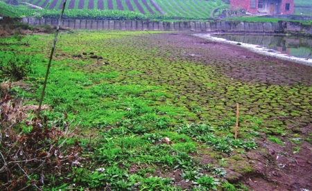 川南秋冬连旱治旱迫在眉睫&nbsp;各市各出奇招保用水需求(图1)