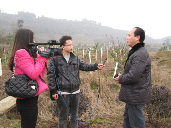 华阳街道：重庆“取经”促发展(图3)