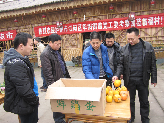 华阳街道：重庆“取经”促发展(图4)