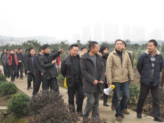 华阳街道：重庆“取经”促发展(图5)