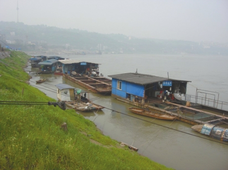 泸州:假鱼真"价"&nbsp;饲养鱼冒充野生鱼端上桌价翻四倍(图2)