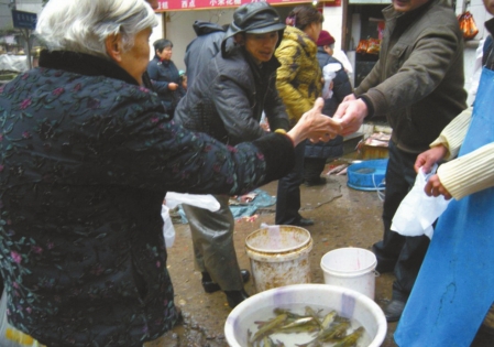 泸州:假鱼真"价"&nbsp;饲养鱼冒充野生鱼端上桌价翻四倍(图3)