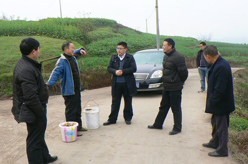 牛滩镇:党政领导深入田间查旱情解民忧&nbsp;保春耕生产(图1)
