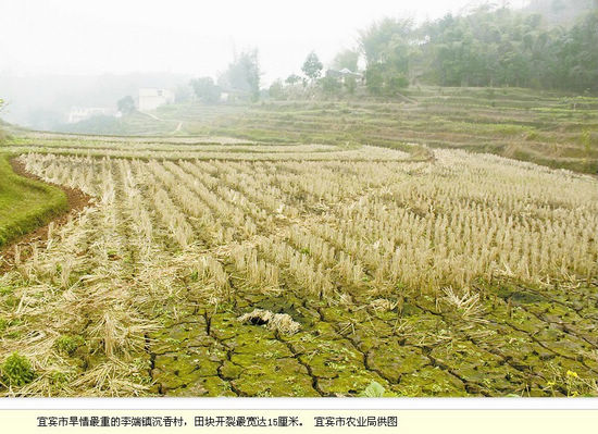 旱情严峻&nbsp;川南三市立保灌“军令状”(图2)