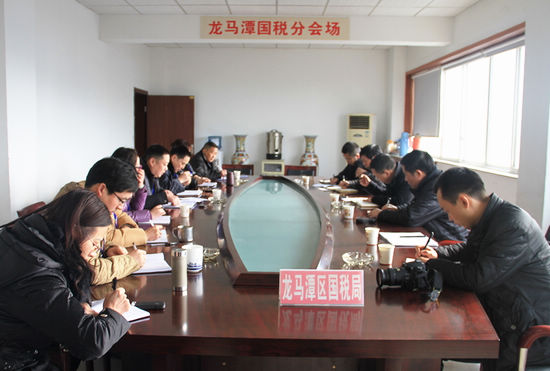 龙马潭区委副书记、区长曾平调研税收工作(图1)