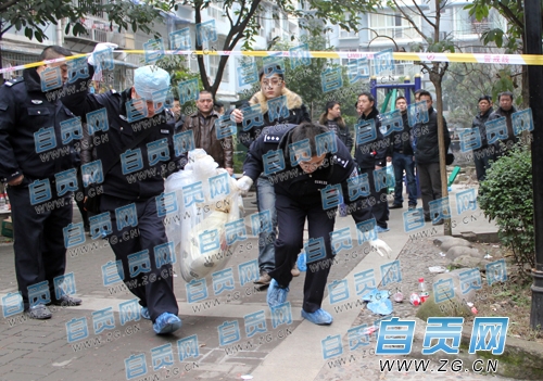 自贡"2.6"杀人碎尸案告破&nbsp;丈夫杀害妻女(图1)