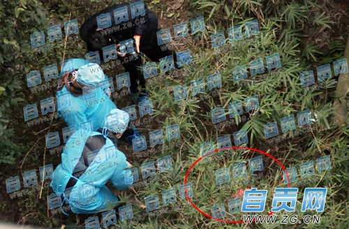 自贡"2.6"杀人碎尸案告破&nbsp;丈夫杀害妻女(图3)