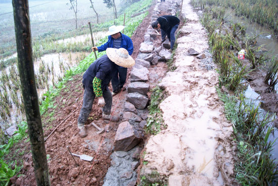 大石乡:抢春播提抗旱能力&nbsp;强推进"小农水"施工进度(图1)