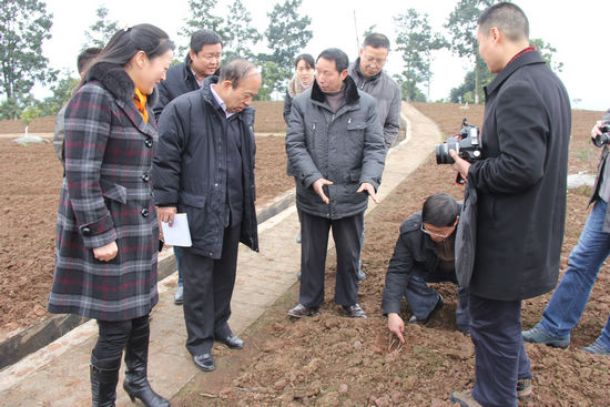 国家农业部莅临泸州合江深入开展"百乡万户调查"(图1)